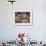 Balafon Players During Festivities, Sikasso, Mali, Africa-De Mann Jean-Pierre-Framed Photographic Print displayed on a wall