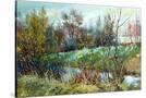Stretched Canvas