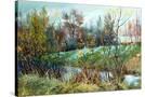 Stretched Canvas
