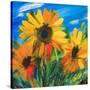 Stretched Canvas