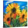 Stretched Canvas