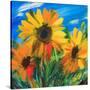 Stretched Canvas