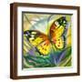Brown Frame