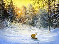 Winter Landscape With A Fox On A Decline-balaikin2009-Art Print