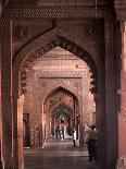 Mughal Architecture, Delhi, India, Asia-Balan Madhavan-Photographic Print