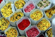 Roses for Sale, Delhi, India, Asia-Balan Madhavan-Photographic Print