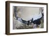 Balance Beam-Lina Alattar-Framed Premium Giclee Print