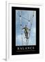 Balance: Inspirational Quote and Motivational Poster-null-Framed Photographic Print