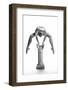 Balance Or Power-Maarten Scholtheis-Framed Photographic Print