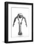 Balance Or Power-Maarten Scholtheis-Framed Photographic Print