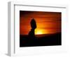 Balance Rock at Sunset, Arches National Park, Utah, USA-Jerry & Marcy Monkman-Framed Photographic Print