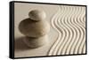 Balance (Shallow Depth of Field)-og-vision-Framed Stretched Canvas