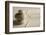 Balance (Shallow Depth of Field)-og-vision-Framed Photographic Print