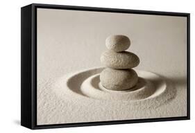 Balance-og-vision-Framed Stretched Canvas