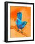 Balanced Bird I-Ania Zwara-Framed Art Print