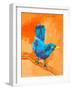Balanced Bird I-Ania Zwara-Framed Art Print