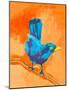 Balanced Bird I-Ania Zwara-Mounted Art Print