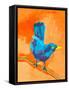 Balanced Bird I-Ania Zwara-Framed Stretched Canvas