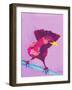 Balanced Bird II-Ania Zwara-Framed Art Print