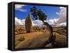 Balanced Rock and Juniper, Joshua Tree National Park, California, USA-Chuck Haney-Framed Stretched Canvas