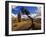 Balanced Rock and Juniper, Joshua Tree National Park, California, USA-Chuck Haney-Framed Premium Photographic Print