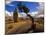 Balanced Rock and Juniper, Joshua Tree National Park, California, USA-Chuck Haney-Mounted Photographic Print