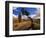 Balanced Rock and Juniper, Joshua Tree National Park, California, USA-Chuck Haney-Framed Photographic Print