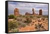 Balanced Rock, Arches National Park, Utah, United States of America, North America-Gary Cook-Framed Stretched Canvas