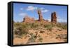 Balanced Rock, Arches National Park, Utah, United States of America, North America-Gary Cook-Framed Stretched Canvas