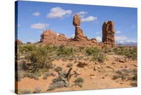 Balanced Rock, Arches National Park, Utah, United States of America, North America-Gary Cook-Stretched Canvas