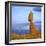 Balanced Rock, Arches National Park, Utah, USA-Tony Gervis-Framed Photographic Print