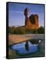 Balanced Rock, Arches National Park, Utah, USA-Charles Gurche-Framed Stretched Canvas
