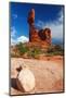 Balanced Rock, Arches National Park, Utah-Geraint Tellem-Mounted Photographic Print