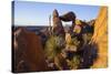 Balanced Rock, Big Bend National Park, Texas-Larry Ditto-Stretched Canvas