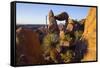 Balanced Rock, Big Bend National Park, Texas-Larry Ditto-Framed Stretched Canvas