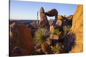 Balanced Rock, Big Bend National Park, Texas-Larry Ditto-Stretched Canvas