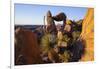 Balanced Rock, Big Bend National Park, Texas-Larry Ditto-Framed Photographic Print