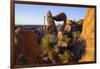 Balanced Rock, Big Bend National Park, Texas-Larry Ditto-Framed Photographic Print