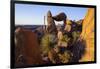 Balanced Rock, Big Bend National Park, Texas-Larry Ditto-Framed Photographic Print