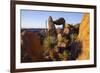 Balanced Rock, Big Bend National Park, Texas-Larry Ditto-Framed Photographic Print