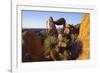 Balanced Rock, Big Bend National Park, Texas-Larry Ditto-Framed Photographic Print