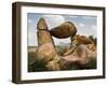 Balanced Rock in Grapevine Hills, Big Bend National Park, Brewster, Texas, Usa-Larry Ditto-Framed Photographic Print