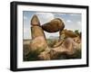 Balanced Rock in Grapevine Hills, Big Bend National Park, Brewster, Texas, Usa-Larry Ditto-Framed Photographic Print