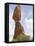 Balanced Rock-null-Framed Stretched Canvas
