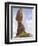 Balanced Rock-null-Framed Premium Photographic Print