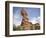 Balanced Rock-null-Framed Photographic Print