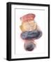 Balancing Act I-Ethan Harper-Framed Art Print