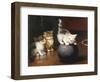 Balancing Act-Leon Charles Huber-Framed Premium Giclee Print