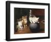 Balancing Act-Leon Charles Huber-Framed Premium Giclee Print