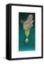 Balancing Bird-Wayne Anderson-Framed Stretched Canvas